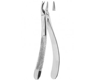 Extracting Forceps English pattern
